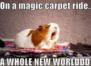 4965-MEME-8211-A-whole-new-world