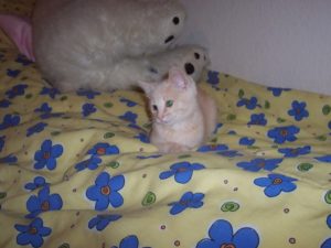 Picture022